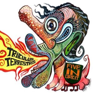 Tribulus terrestris para que sirve