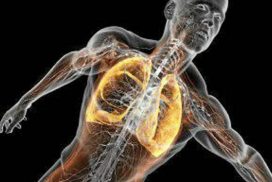 La respiración en el deporte
