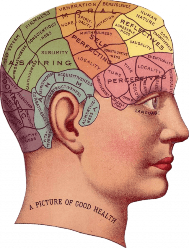 beneficios del omega 3 en el cerebro omega 3 sistema nervioso