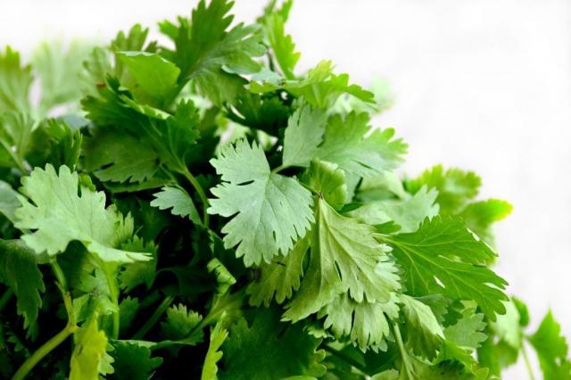 omega 3 verduras
