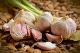 garlic-ajo-wikigimnasio