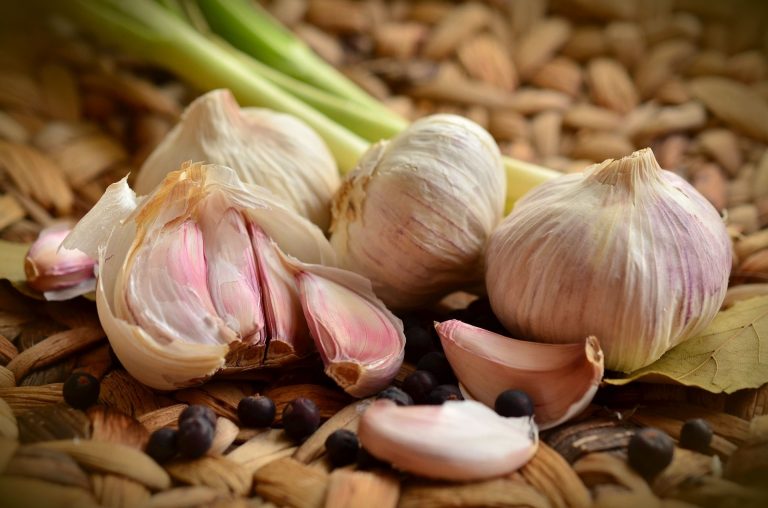 garlic-ajo-wikigimnasio