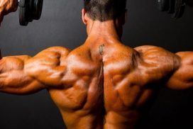 hipertrofia muscular