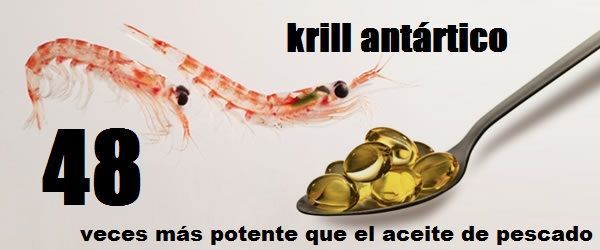 krill-oil_Wikigimnasio.com