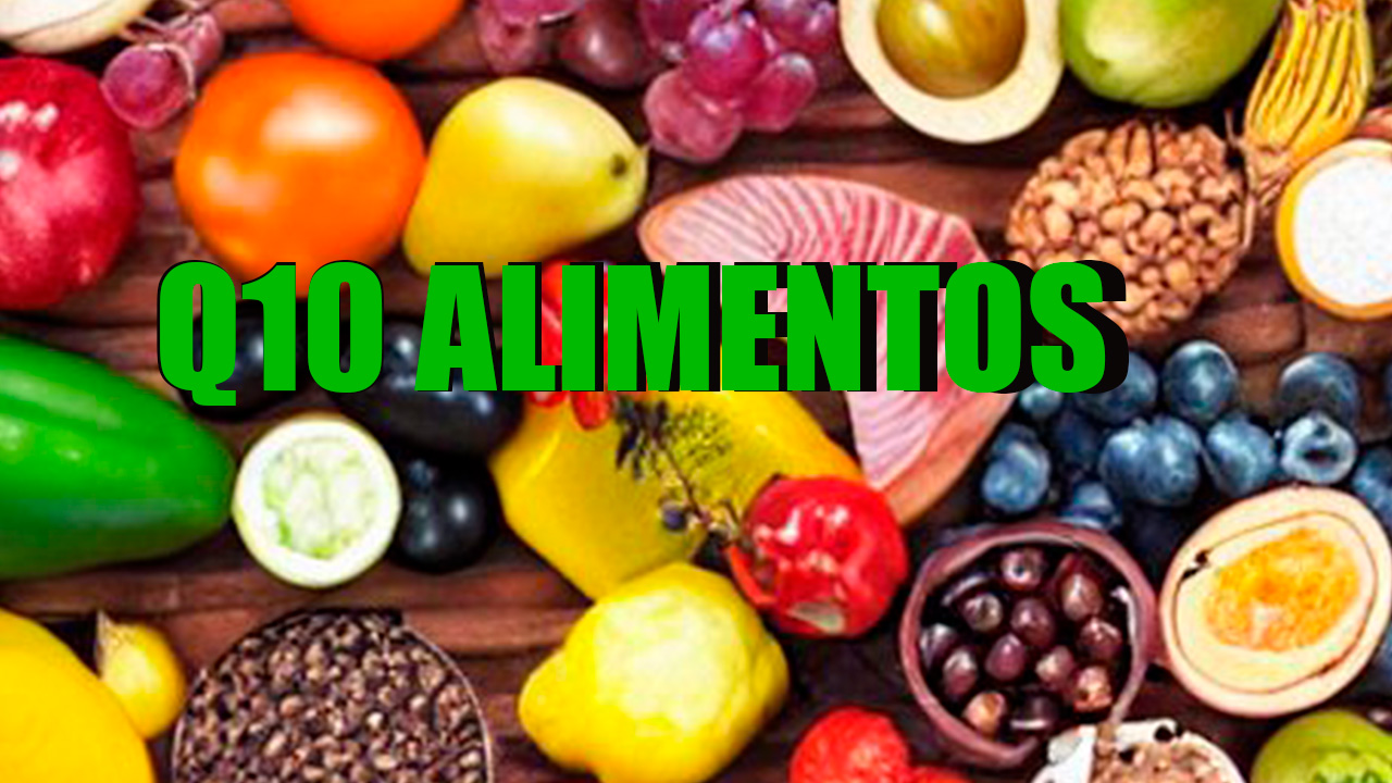 Alimentos Ricos en Coenzima Q10